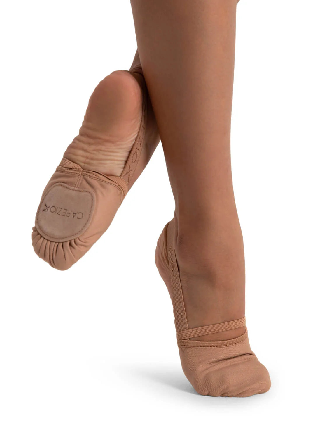 Hanami Canvas Pirouette