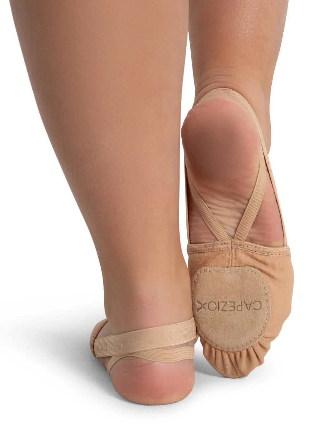 Hanami Canvas Pirouette